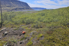 View Hvalfjörður fjord from cabin 24 site