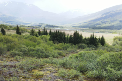 guest-view-from-our-property