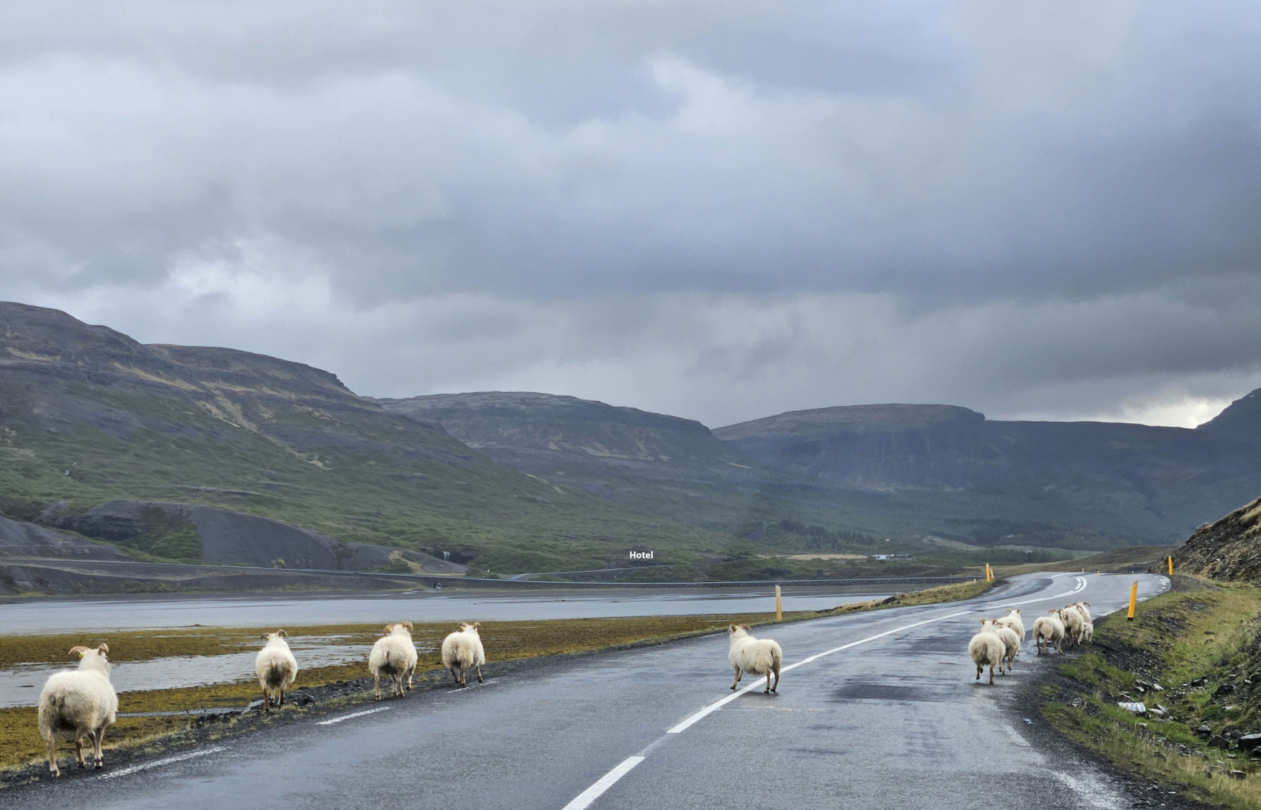 Other road users 😉. Other road users 😉.