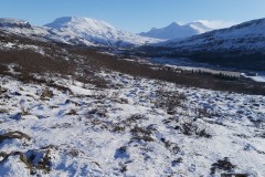 winterview2