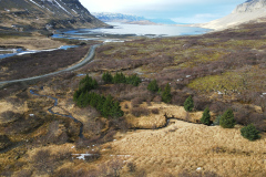 Area 4