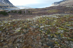 Possible location 2 cabins
